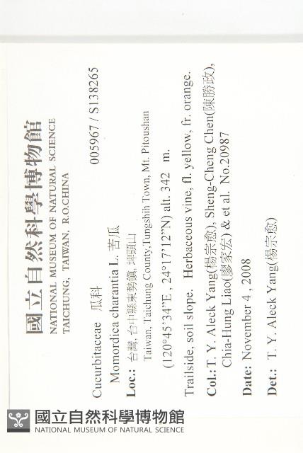 苦瓜藏品圖，第2張