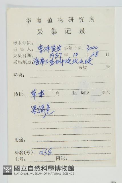 蒼耳藏品圖，第2張