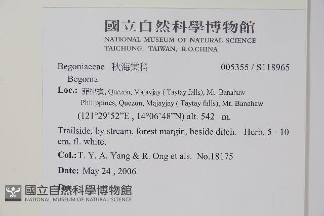 登錄號:S118965藏品圖，第2張