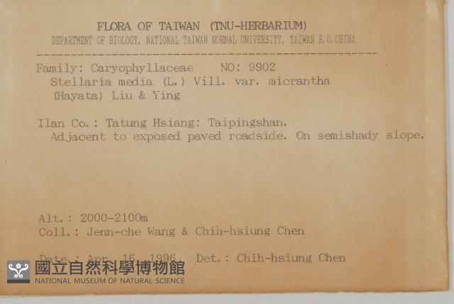 小花繁縷藏品圖，第2張