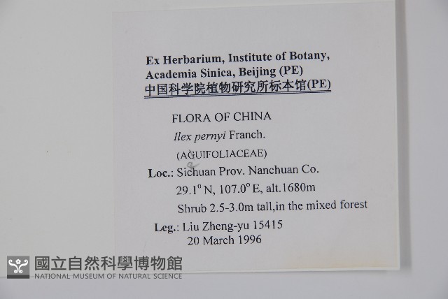 貓兒刺藏品圖，第2張