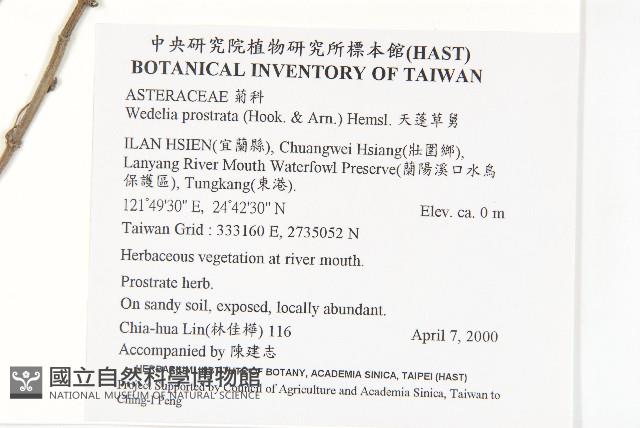 天蓬草舅藏品圖，第2張