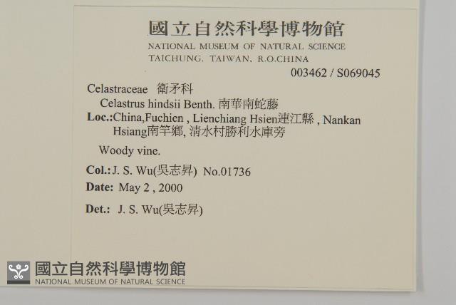 南華南蛇藤，青江藤藏品圖，第2張