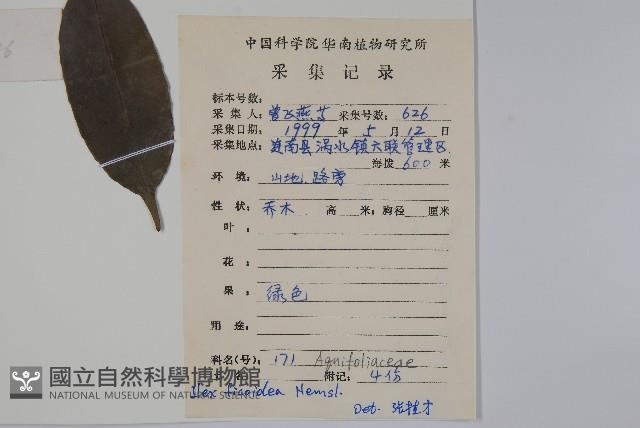 臺灣糊樗藏品圖，第2張