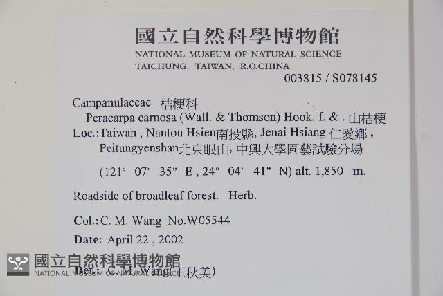 山桔梗藏品圖，第2張