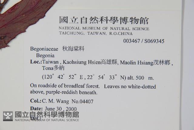 登錄號:S069345藏品圖，第2張