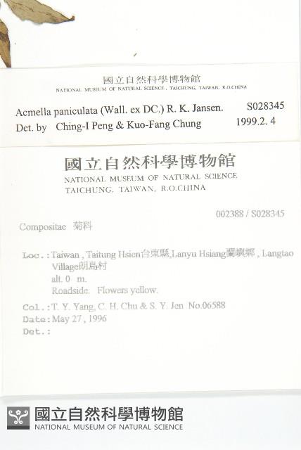 金鈕釦藏品圖，第2張