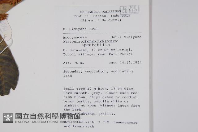 登錄號:S058845藏品圖，第2張