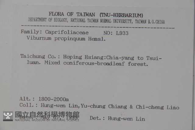 高山莢迷藏品圖，第2張