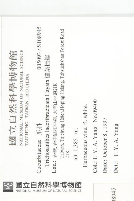 芋葉括樓藏品圖，第2張