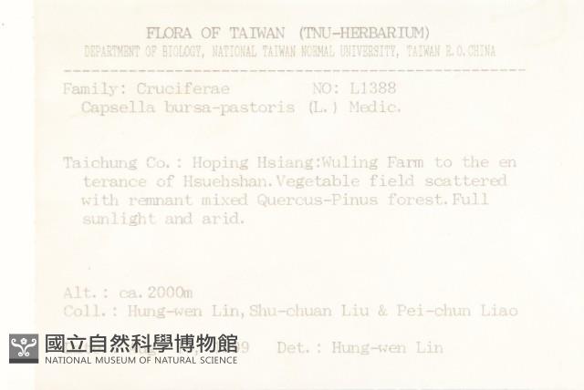 薺藏品圖，第2張