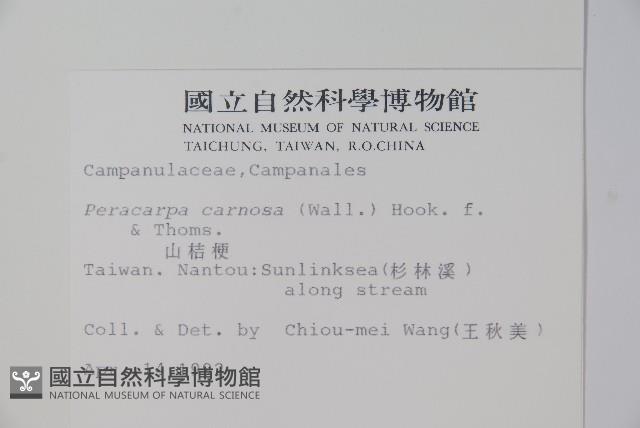 山桔梗藏品圖，第2張