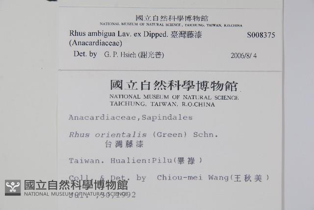 臺灣藤漆藏品圖，第2張