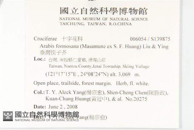 臺灣筷子芥藏品圖，第2張