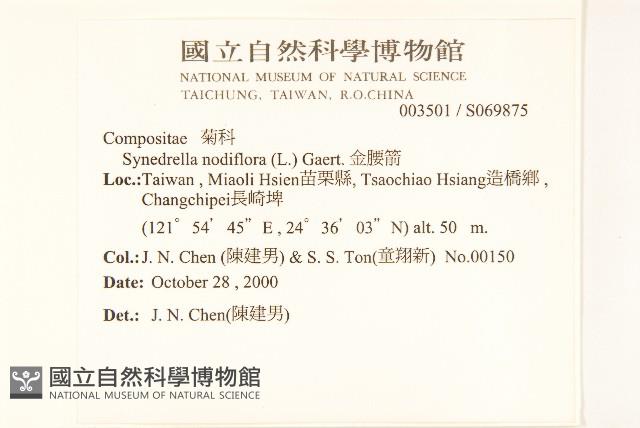 金腰箭藏品圖，第2張