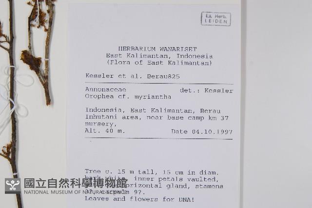 登錄號:S058875藏品圖，第2張