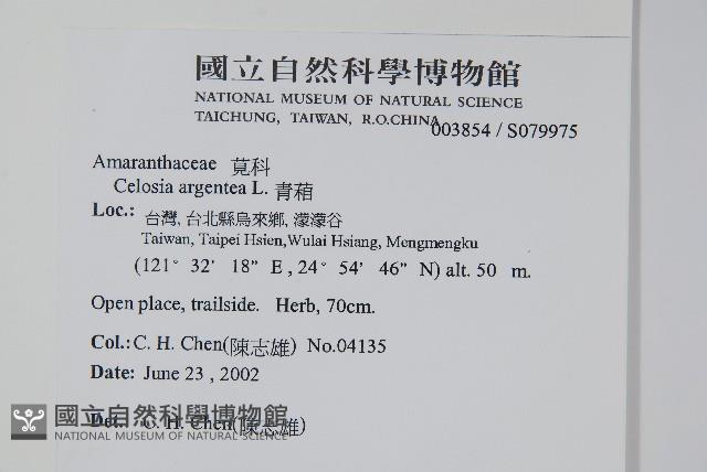 青葙藏品圖，第2張