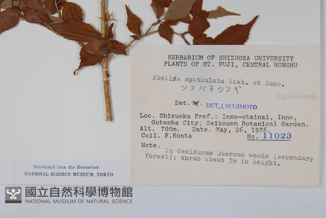 登錄號:S048975藏品圖，第2張