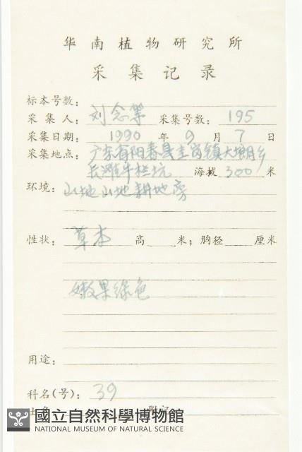 小葶藶藏品圖，第2張