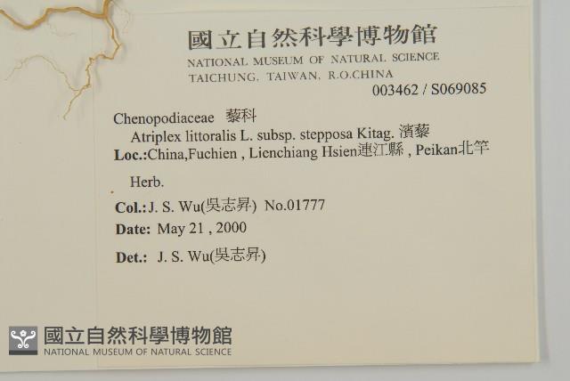 濱藜藏品圖，第2張