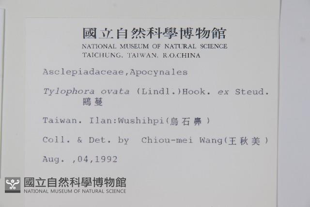 鷗蔓藏品圖，第2張