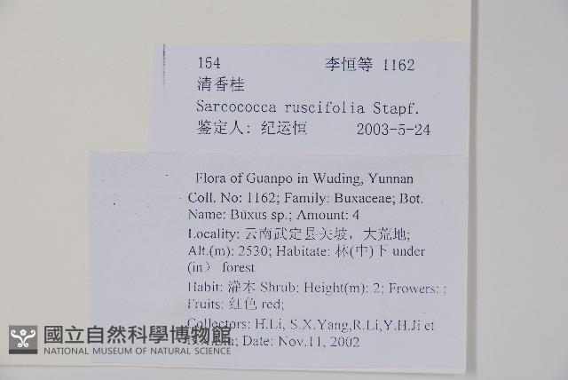 野扇花藏品圖，第2張