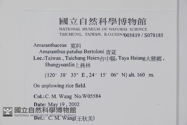 Accession Number:S078185 Collection Image, Figure 2, Total 2 Figures