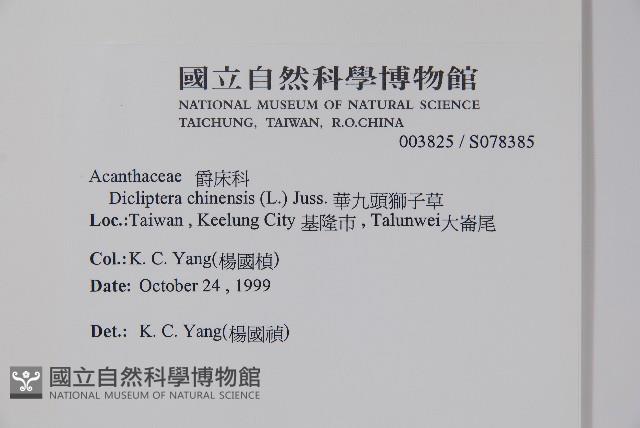 華九頭獅子草藏品圖，第2張