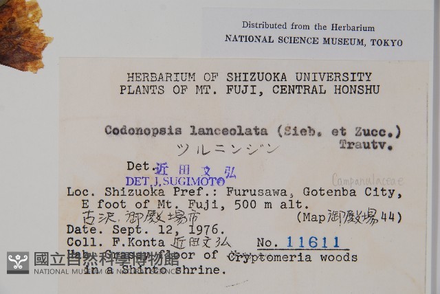 羊乳、四葉參藏品圖，第2張