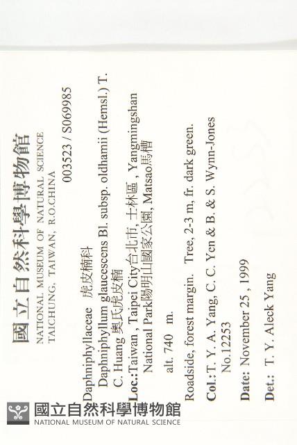 耿氏虎皮楠藏品圖，第2張