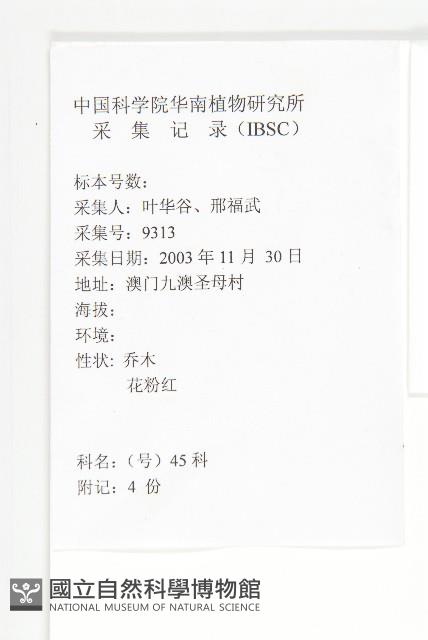 落地生根藏品圖，第2張