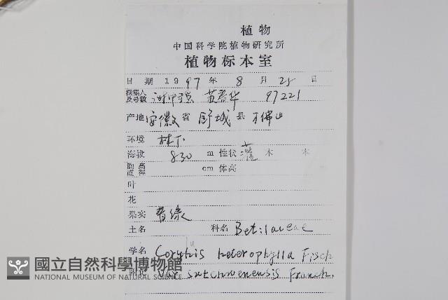 川榛藏品圖，第2張