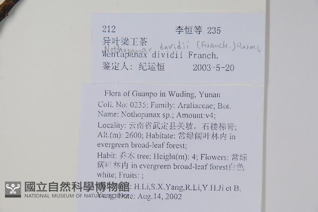 異葉梁王茶藏品圖，第2張