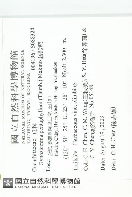 絞股藍藏品圖，第2張