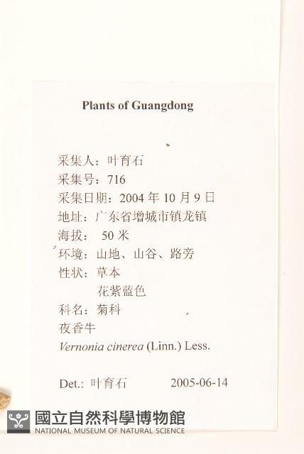 一枝香藏品圖，第2張