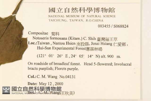 臺灣福王草藏品圖，第2張