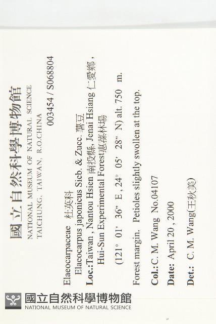 薯豆藏品圖，第2張