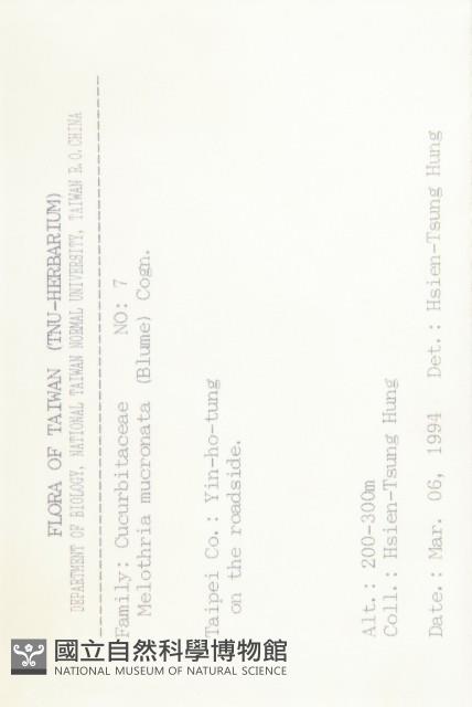 黑果馬交兒藏品圖，第2張