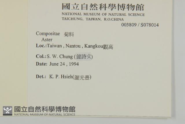 法國菊藏品圖，第2張