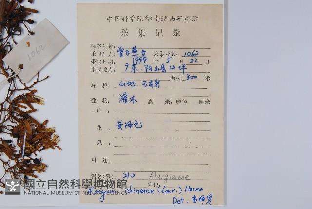 八角楓藏品圖，第2張