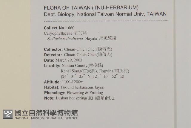 網脈繁縷藏品圖，第2張