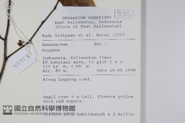 登錄號:S069814藏品圖，第2張