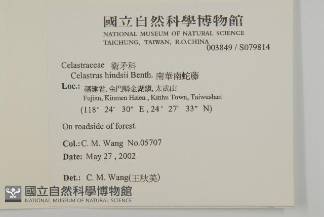 南華南蛇藤，青江藤藏品圖，第2張