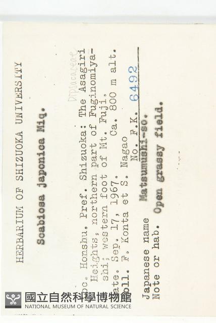 山籮卜藍盆花藏品圖，第2張