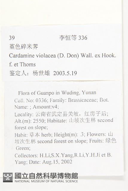 蓳色碎米薺藏品圖，第2張