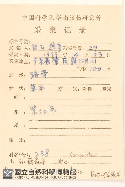 一枝香藏品圖，第2張