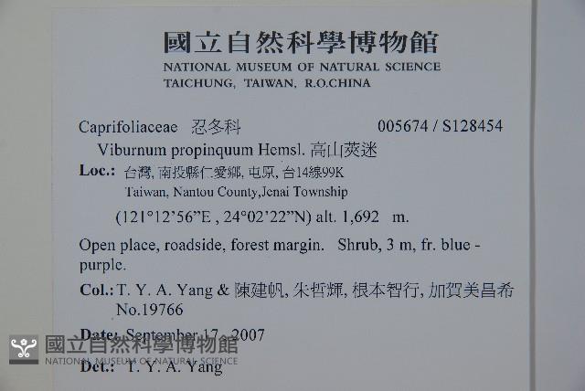 高山莢迷藏品圖，第2張