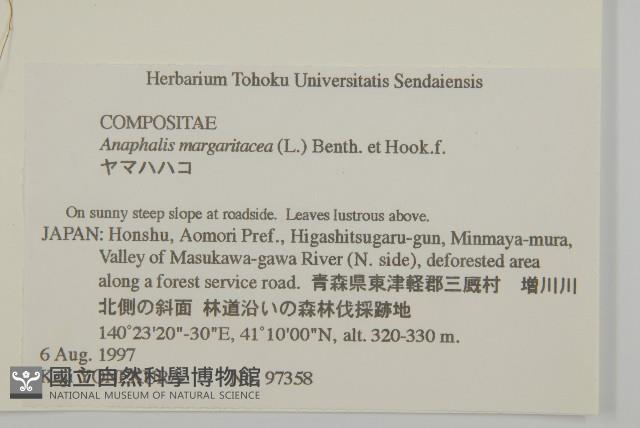 抱莖籟簫藏品圖，第2張