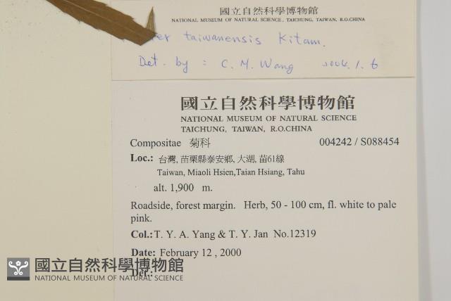 臺灣馬蘭藏品圖，第2張