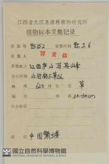 中國繁縷藏品圖，第2張